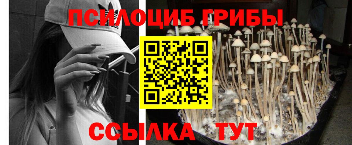 дарнет шоп  Галлюциногенные грибы Magic Shrooms  Вход с VPN  Самара 