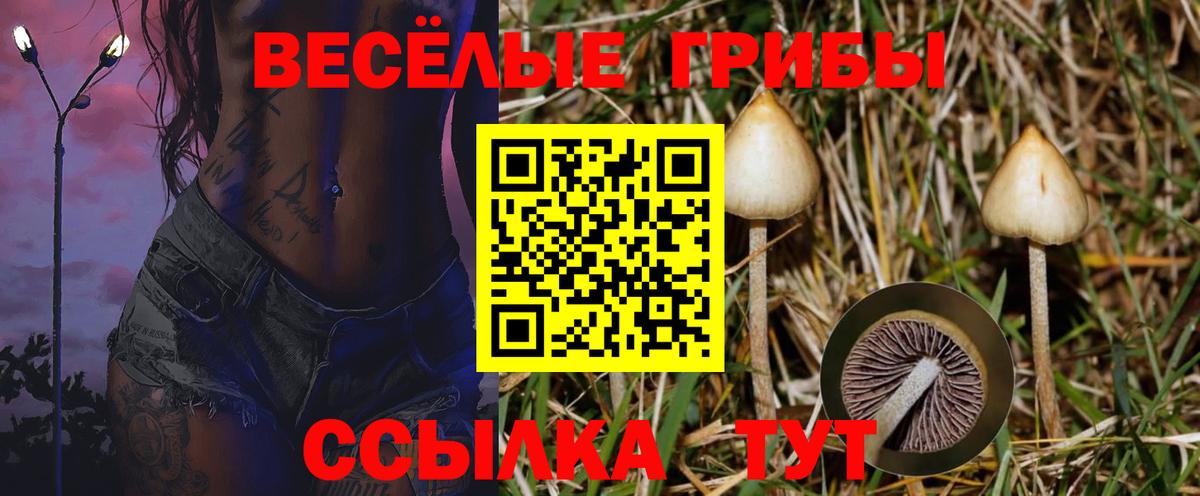 Галлюциногенные грибы мухоморы Самара